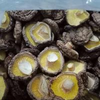 食用菌批发香菇批发